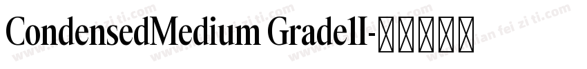 CondensedMedium Grade1I字体转换